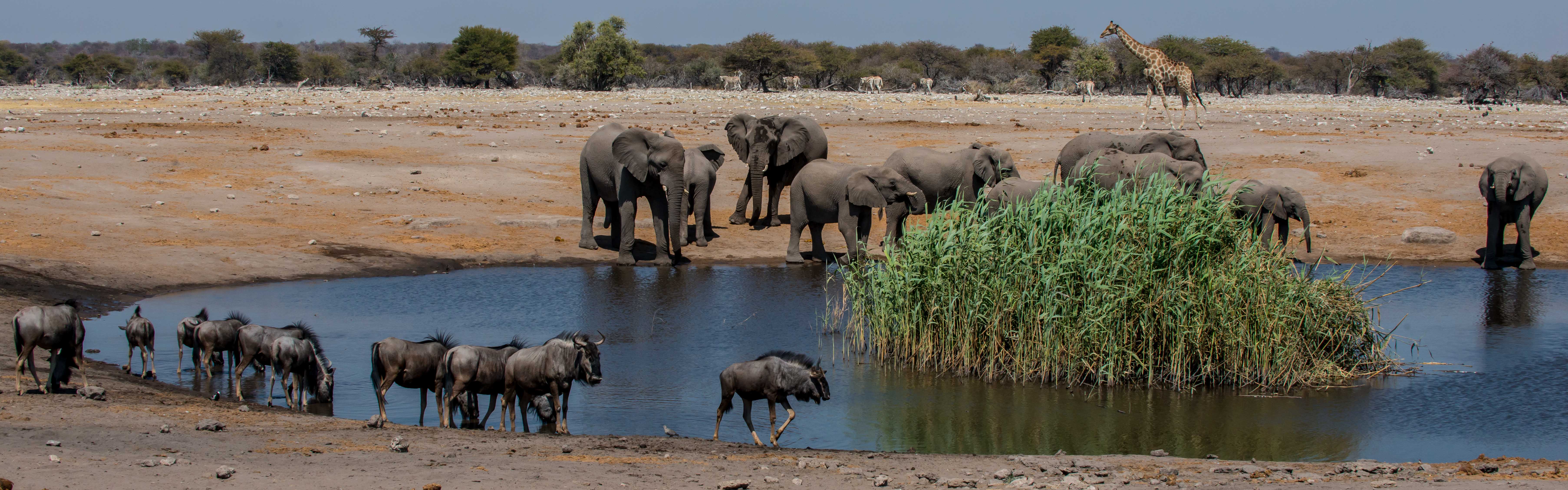 Namibia Garden of Eden